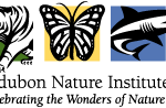 audubon_logo audubon_logo